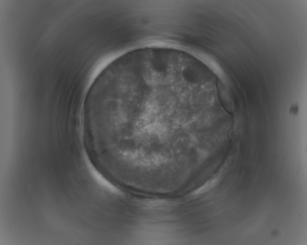 X0000092011247200709271522