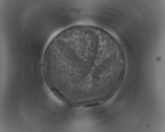 X0000092011248200709271522