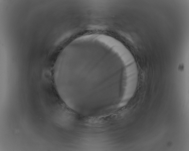 X0000092011254200709271522