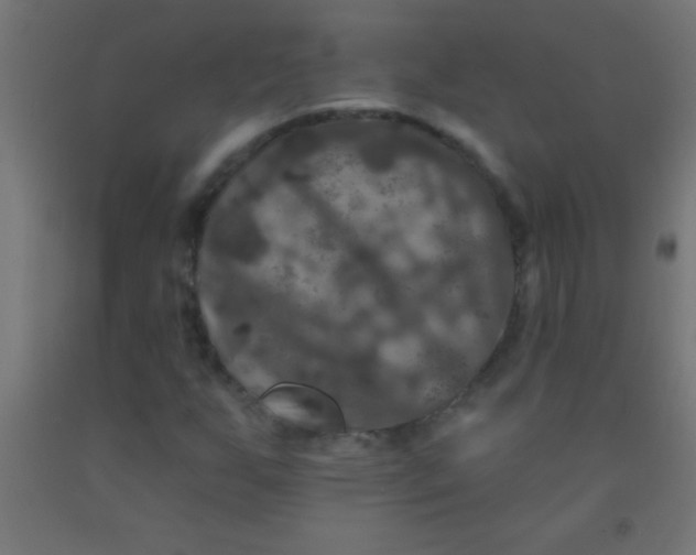 X0000092011255200709271522