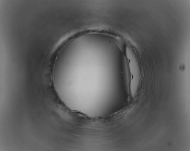 X0000092011256200709271522