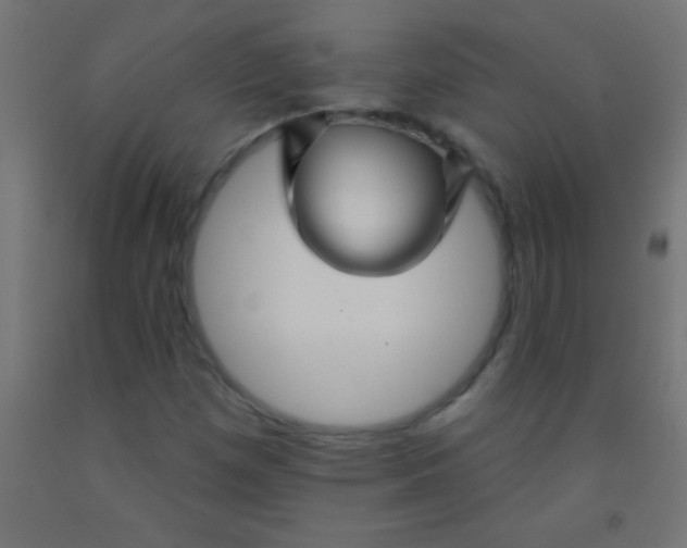 X0000092011257200709271522