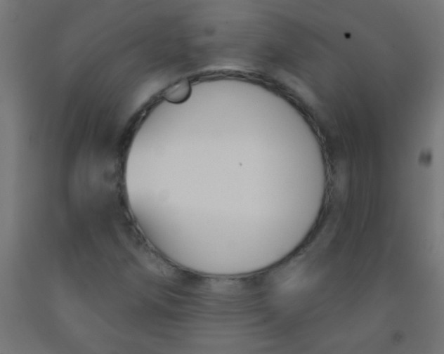 X0000092011258200709271522