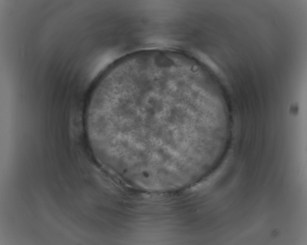 X0000092011259200709271522