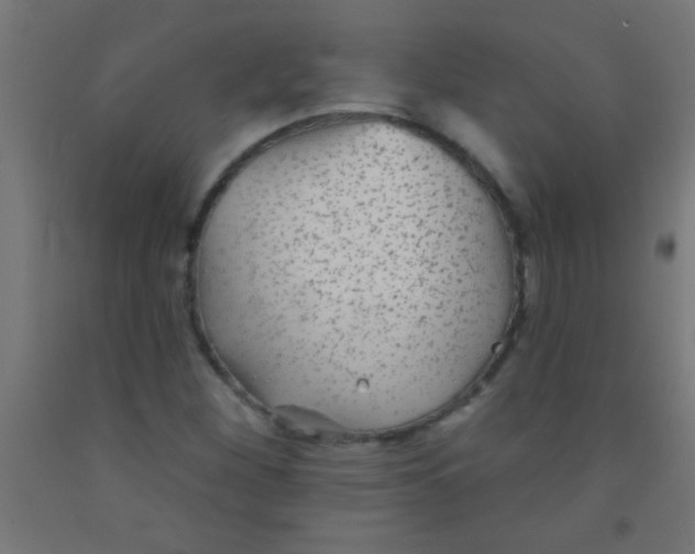 X0000092011260200709271522