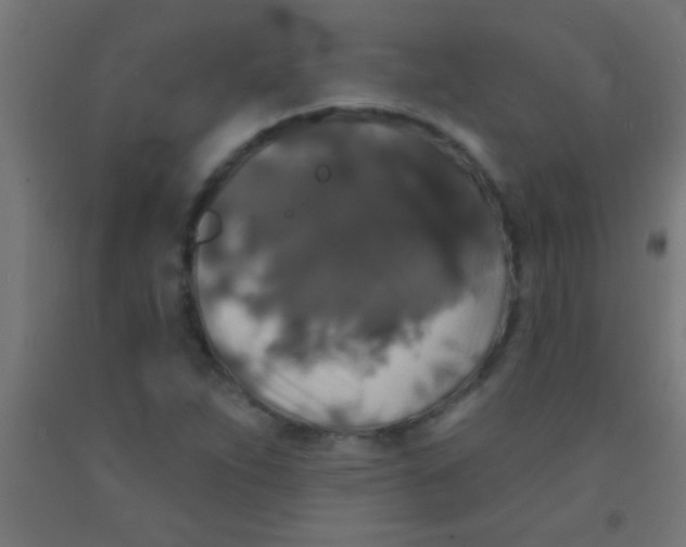 X0000092011263200709271522