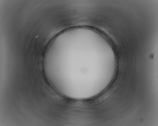 X0000092011265200709271522