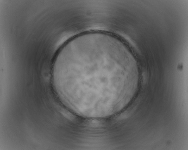 X0000092011266200709271522