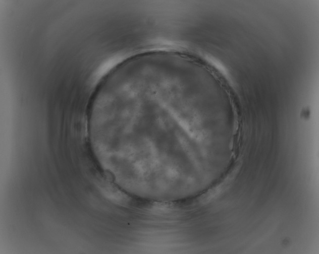 X0000092011267200709271522