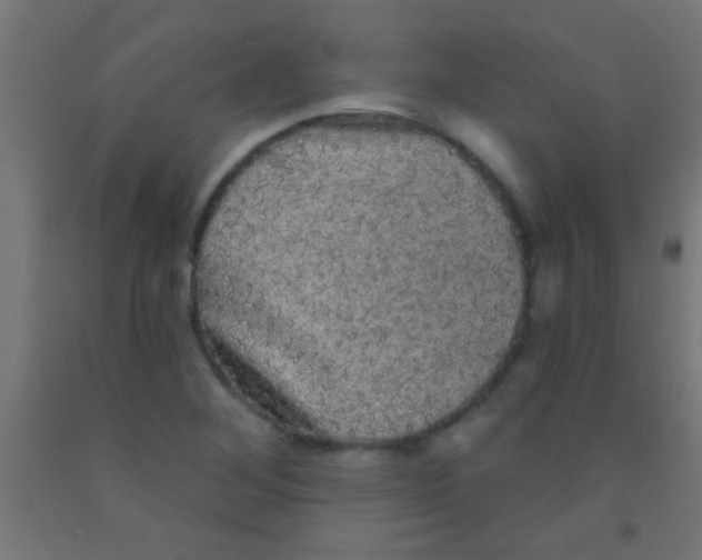 X0000092011268200709271522