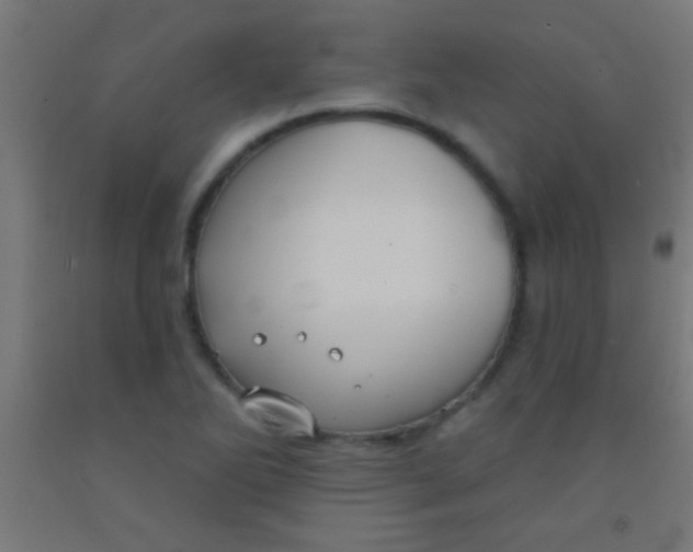 X0000092011270200709271522