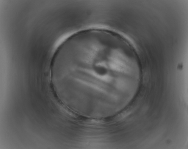 X0000092011271200709271522