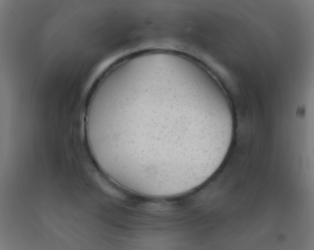 X0000092011272200709271522