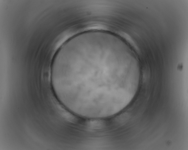 X0000092011274200709271521