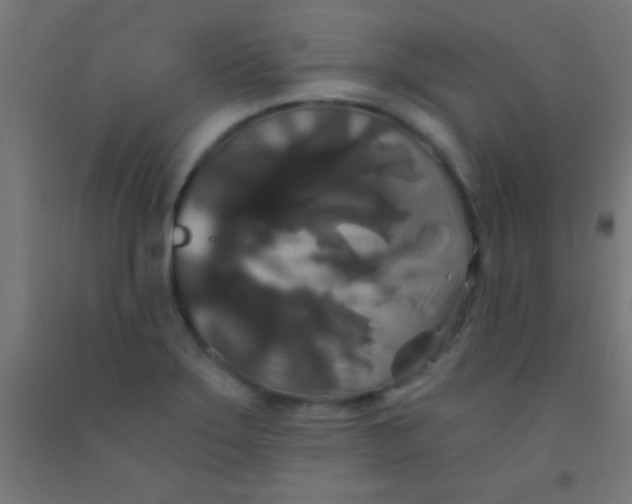 X0000092011275200709271521