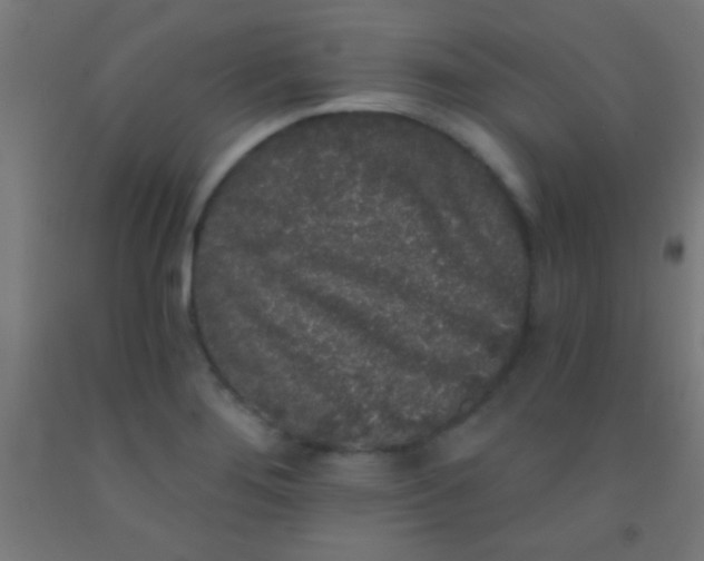 X0000092011276200709271521