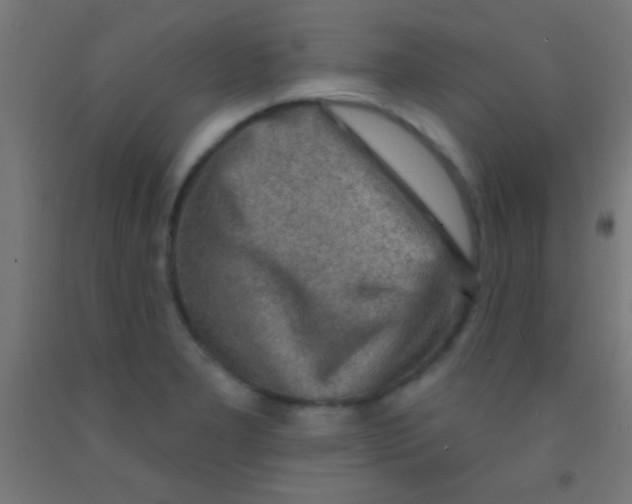 X0000092011277200709271521