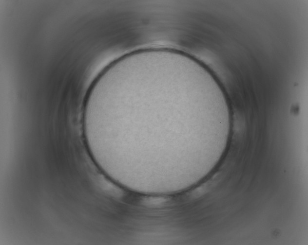 X0000092011278200709271521