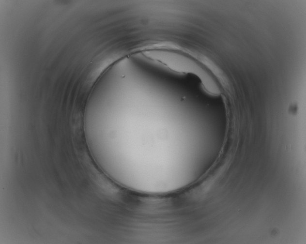 X0000092011281200709271521