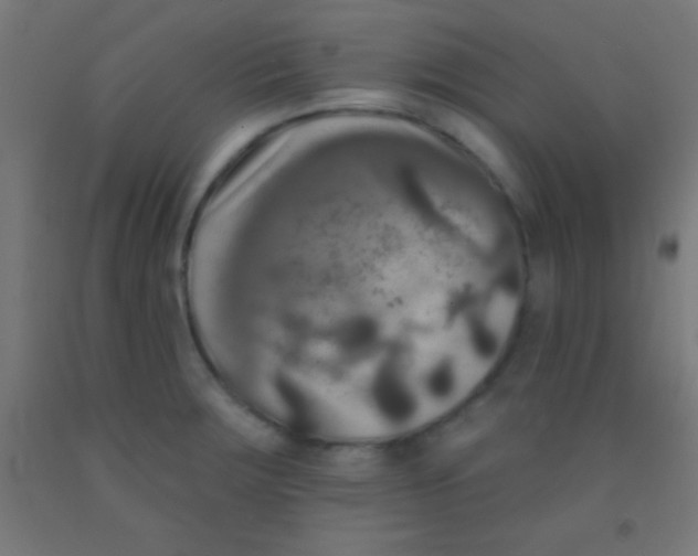 X0000092011283200709271521