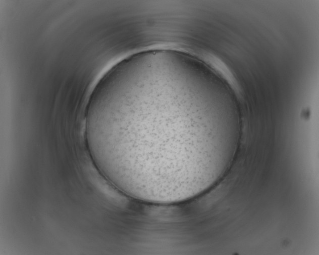 X0000092011284200709271521