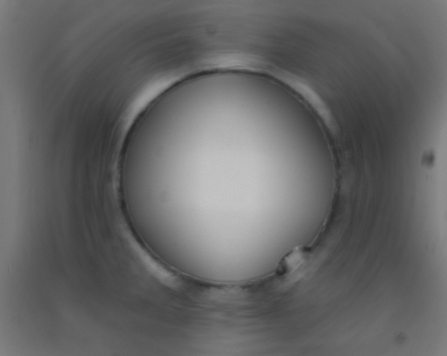 X0000092011285200709271521