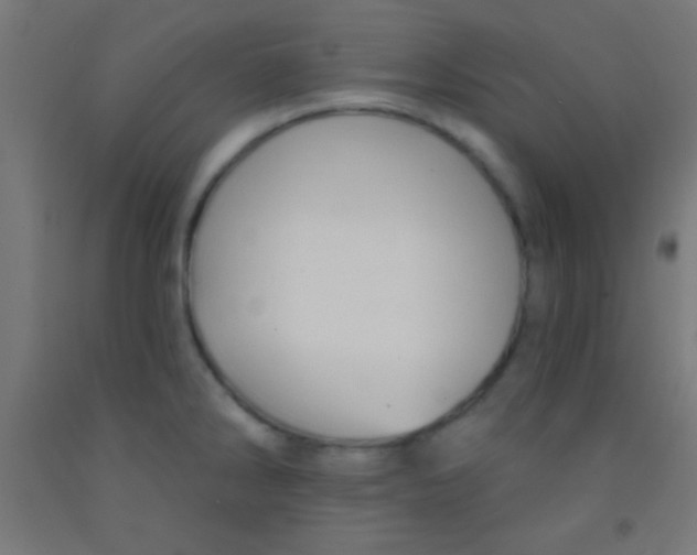 X0000092011286200709271521