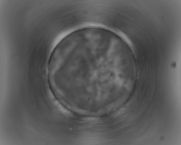 X0000092011287200709271521