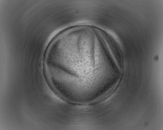 X0000092011288200709271521