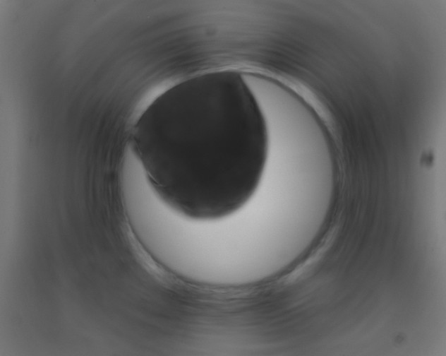 X0000092011289200709271521