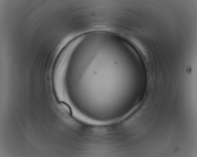 X0000092011291200709271521