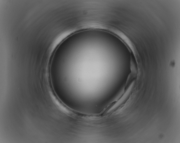 X0000092011293200709271521