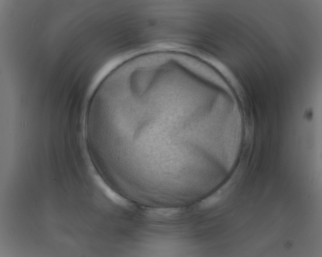 X0000092011294200709271521