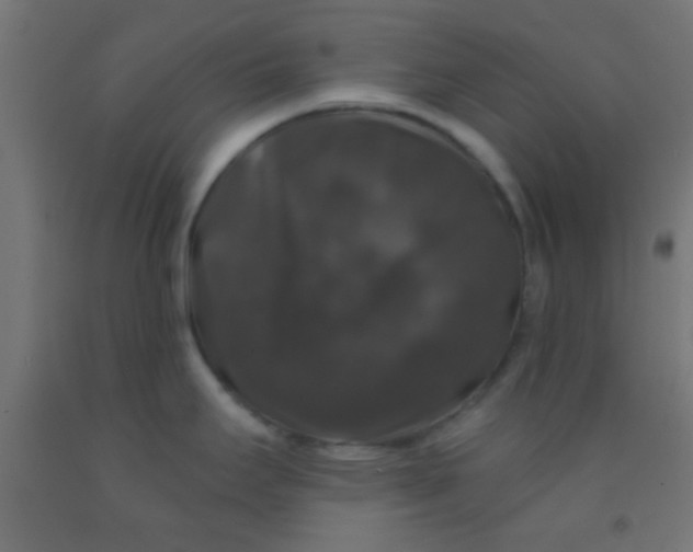 X0000092011295200709271521