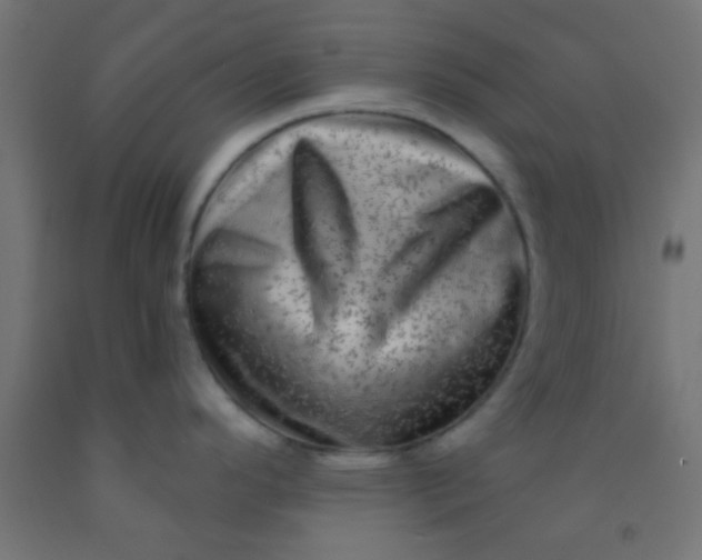 X0000092011296200709271521