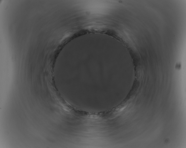 X0000092011297200709271520