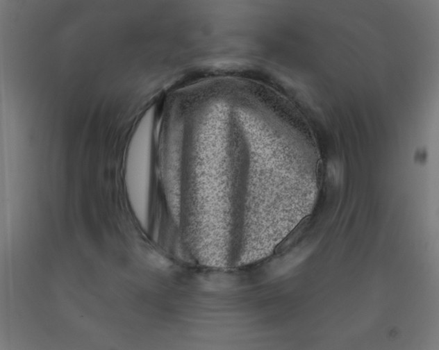 X0000092011300200709271520