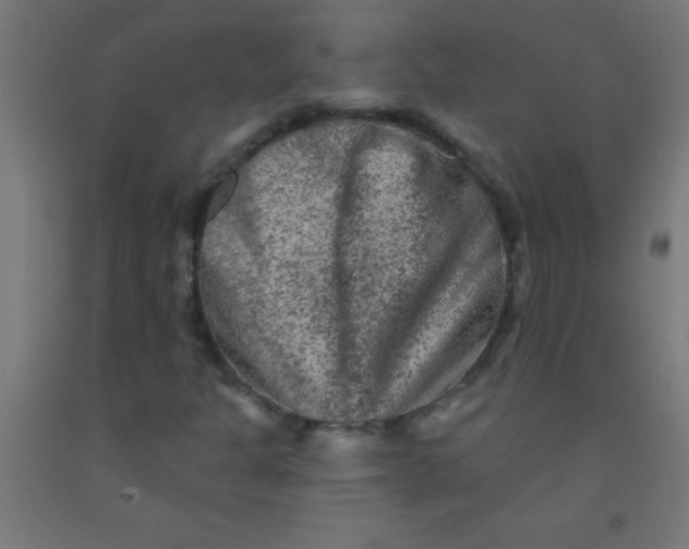 X0000092011301200709271520