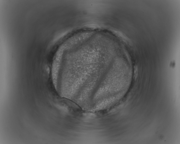 X0000092011302200709271520