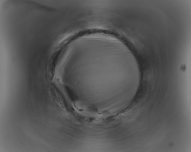 X0000092011303200709271521