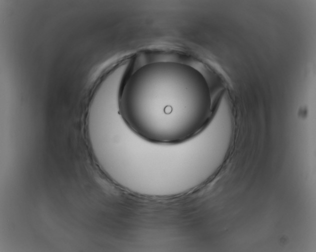 X0000092011304200709271521