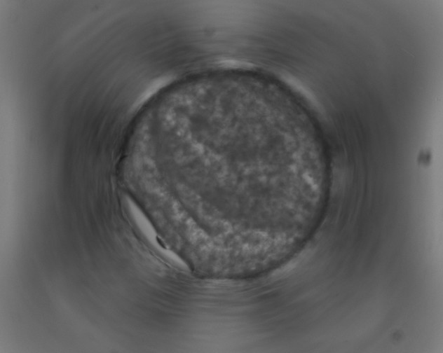 X0000092011305200709271521