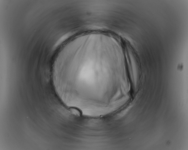 X0000092011306200709271521