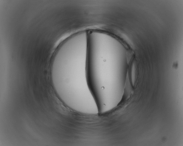 X0000092011308200709271521