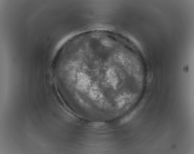 X0000092011310200709271521