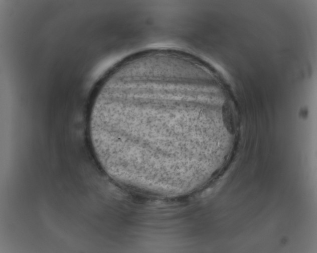 X0000092011311200709271521