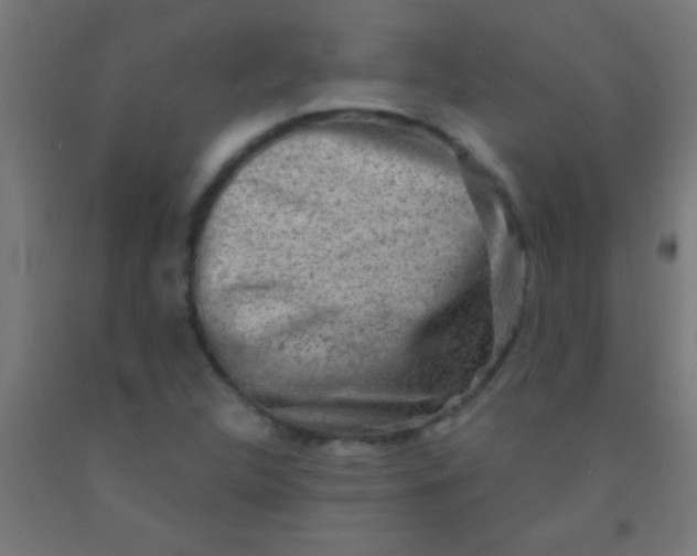 X0000092011312200709271521