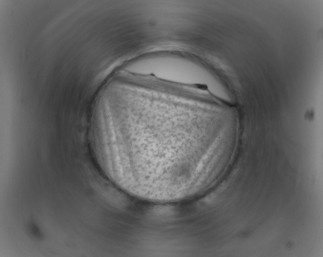 X0000092011313200709271521