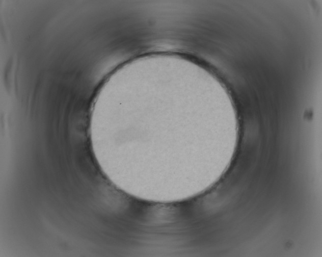 X0000092011314200709271521