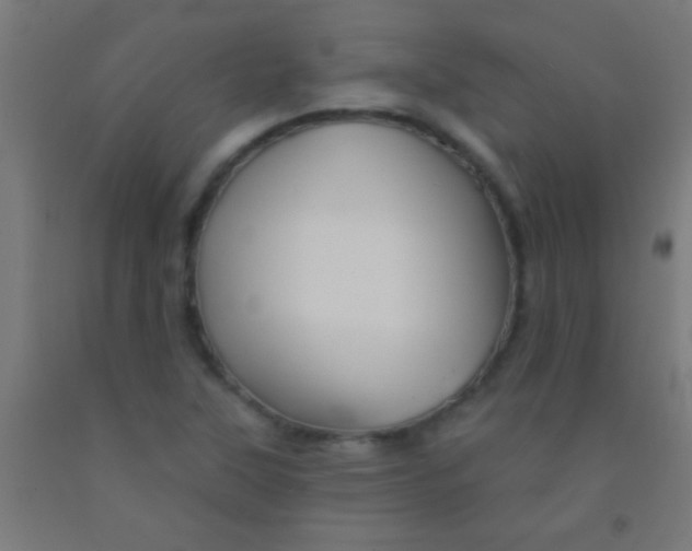 X0000092011315200709271521